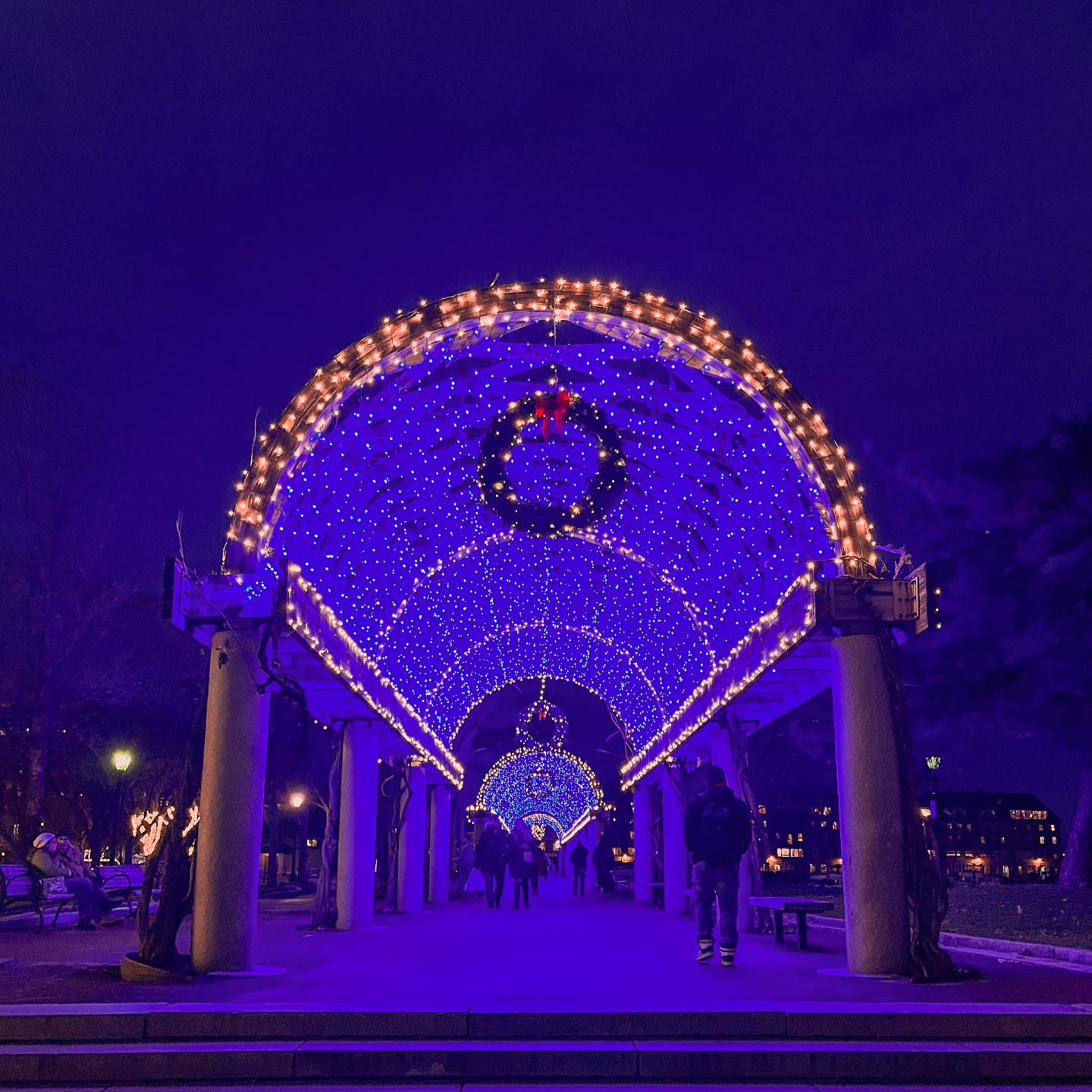 Holiday Lights at Christopher Columbus Park